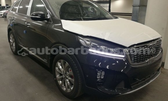 Buy Import Kia Sorento Brown Car in Import - Dubai in Barbados
