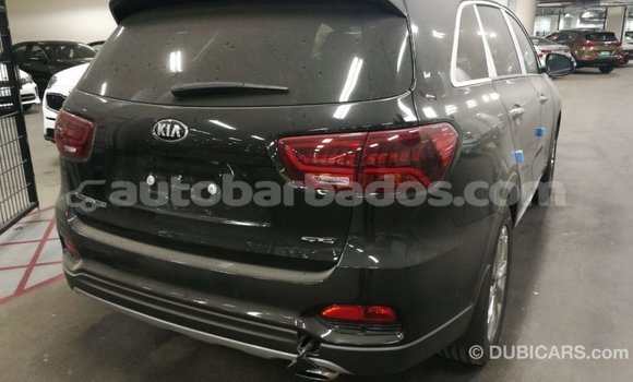 Buy Import Kia Sorento Brown Car in Import - Dubai in Barbados Buy Import Kia Sorento Brown Car in Import - Dubai in Barbados