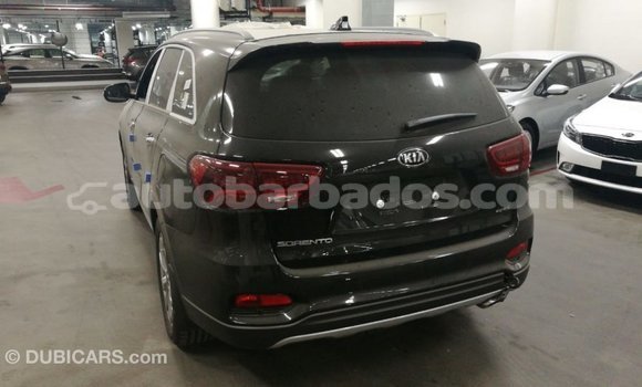 Buy Import Kia Sorento Brown Car in Import - Dubai in Barbados Buy Import Kia Sorento Brown Car in Import - Dubai in Barbados