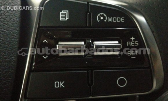 Buy Import Kia Sorento Brown Car in Import - Dubai in Barbados Buy Import Kia Sorento Brown Car in Import - Dubai in Barbados