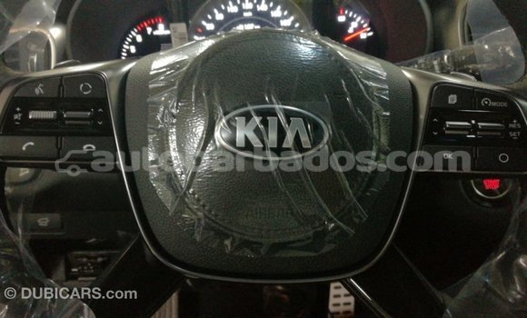 Buy Import Kia Sorento Brown Car in Import - Dubai in Barbados Buy Import Kia Sorento Brown Car in Import - Dubai in Barbados