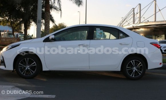 Buy Import Toyota Corolla White Car in Import - Dubai in Barbados Buy Import Toyota Corolla White Car in Import - Dubai in Barbados