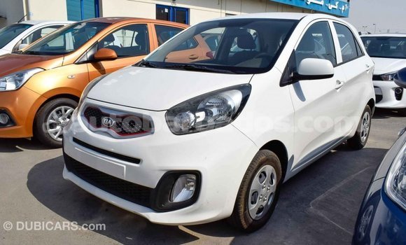 Buy Import Kia Picanto White Car in Import - Dubai in Barbados Buy Import Kia Picanto White Car in Import - Dubai in Barbados