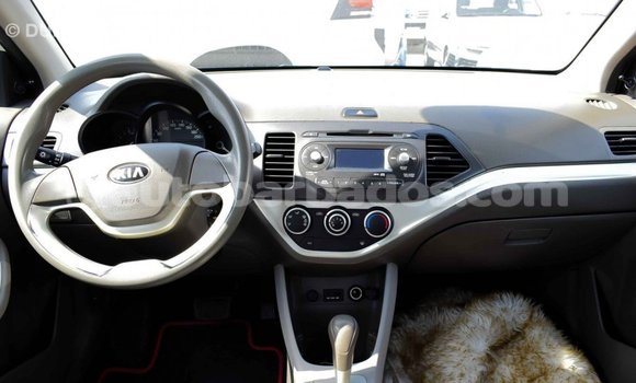 Buy Import Kia Picanto White Car in Import - Dubai in Barbados Buy Import Kia Picanto White Car in Import - Dubai in Barbados