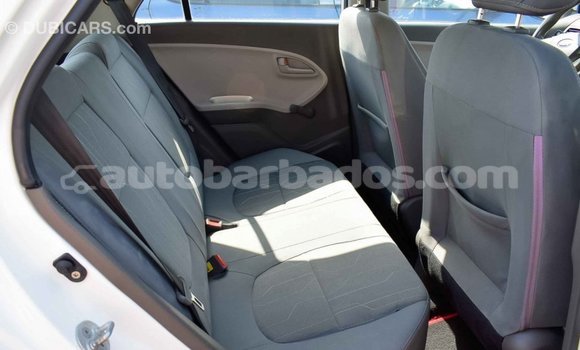 Buy Import Kia Picanto White Car in Import - Dubai in Barbados Buy Import Kia Picanto White Car in Import - Dubai in Barbados