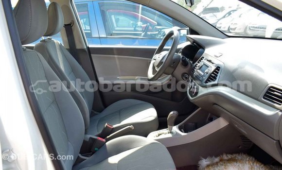 Buy Import Kia Picanto White Car in Import - Dubai in Barbados Buy Import Kia Picanto White Car in Import - Dubai in Barbados