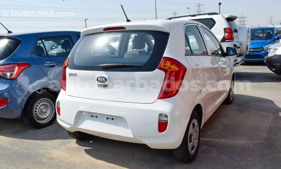 Buy Import Kia Picanto White Car in Import - Dubai in Barbados Buy Import Kia Picanto White Car in Import - Dubai in Barbados