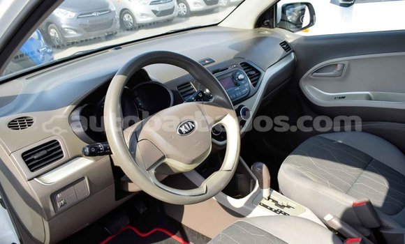 Buy Import Kia Picanto White Car in Import - Dubai in Barbados Buy Import Kia Picanto White Car in Import - Dubai in Barbados