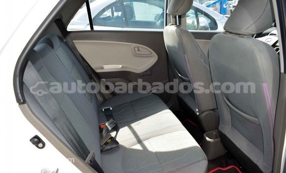 Buy Import Kia Picanto White Car in Import - Dubai in Barbados Buy Import Kia Picanto White Car in Import - Dubai in Barbados