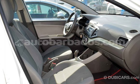 Buy Import Kia Picanto White Car in Import - Dubai in Barbados Buy Import Kia Picanto White Car in Import - Dubai in Barbados