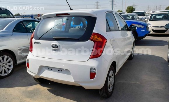 Buy Import Kia Picanto White Car in Import - Dubai in Barbados Buy Import Kia Picanto White Car in Import - Dubai in Barbados