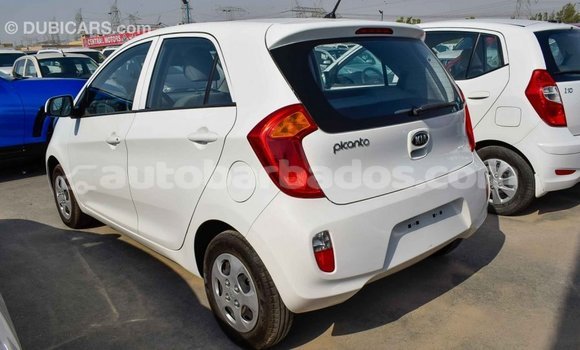 Buy Import Kia Picanto White Car in Import - Dubai in Barbados Buy Import Kia Picanto White Car in Import - Dubai in Barbados