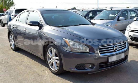 Buy Import Nissan Maxima Other Car in Import - Dubai in Barbados Buy Import Nissan Maxima Other Car in Import - Dubai in Barbados