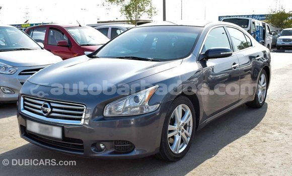 Buy Import Nissan Maxima Other Car in Import - Dubai in Barbados Buy Import Nissan Maxima Other Car in Import - Dubai in Barbados