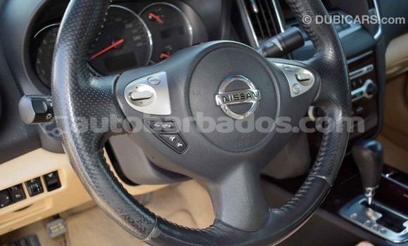 Buy Import Nissan Maxima Other Car in Import - Dubai in Barbados Buy Import Nissan Maxima Other Car in Import - Dubai in Barbados