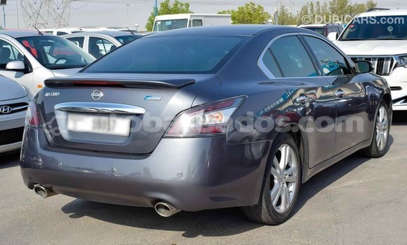 Buy Import Nissan Maxima Other Car in Import - Dubai in Barbados Buy Import Nissan Maxima Other Car in Import - Dubai in Barbados
