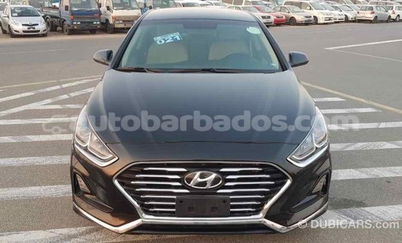Buy Import Hyundai Sonata Black Car in Import - Dubai in Barbados Buy Import Hyundai Sonata Black Car in Import - Dubai in Barbados