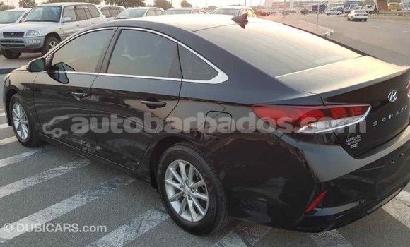 Buy Import Hyundai Sonata Black Car in Import - Dubai in Barbados Buy Import Hyundai Sonata Black Car in Import - Dubai in Barbados