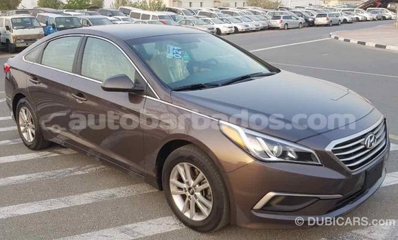 Buy Import Hyundai Sonata Brown Car in Import - Dubai in Barbados Buy Import Hyundai Sonata Brown Car in Import - Dubai in Barbados