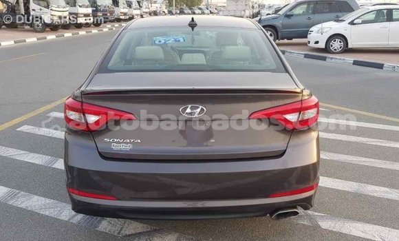 Buy Import Hyundai Sonata Brown Car in Import - Dubai in Barbados Buy Import Hyundai Sonata Brown Car in Import - Dubai in Barbados