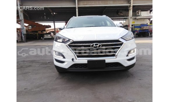Buy Import Hyundai Tucson White Car in Import - Dubai in Barbados Buy Import Hyundai Tucson White Car in Import - Dubai in Barbados
