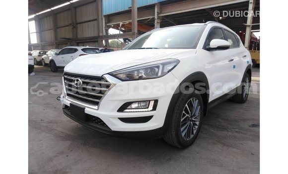 Buy Import Hyundai Tucson White Car in Import - Dubai in Barbados Buy Import Hyundai Tucson White Car in Import - Dubai in Barbados