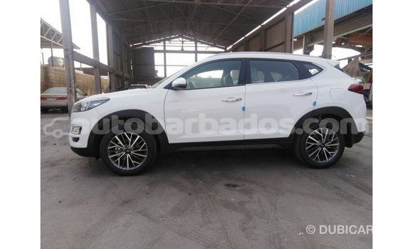 Buy Import Hyundai Tucson White Car in Import - Dubai in Barbados Buy Import Hyundai Tucson White Car in Import - Dubai in Barbados