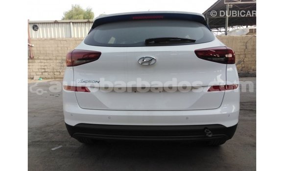 Buy Import Hyundai Tucson White Car in Import - Dubai in Barbados Buy Import Hyundai Tucson White Car in Import - Dubai in Barbados