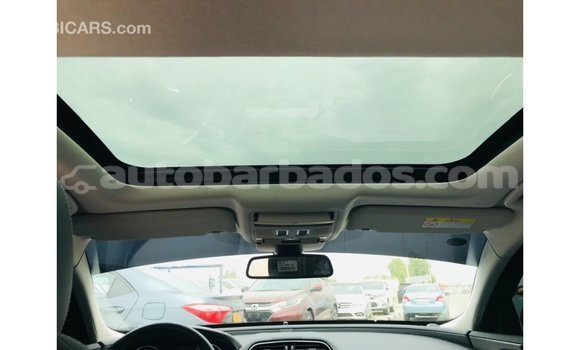 Buy Import Jaguar XE Red Car in Import - Dubai in Barbados Buy Import Jaguar XE Red Car in Import - Dubai in Barbados