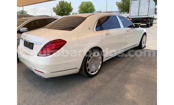 Buy Import Mercedes-Benz 190 (W201) White Car in Import - Dubai in Barbados Buy Import Mercedes-Benz 190 (W201) White Car in Import - Dubai in Barbados