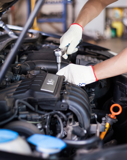 Thumb taller rep mec